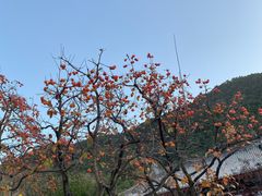 -西安华清御汤酒店