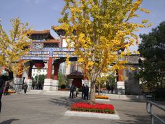 -迎泽公园
