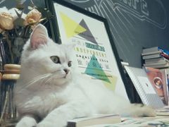 android_upload_pic-研途咖啡馆(健康路店)