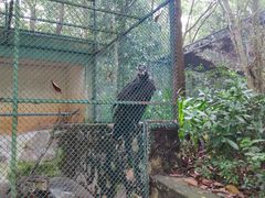 -广东茂名森林公园