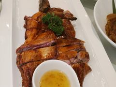-骏莱海鲜鱼港(五角场店)
