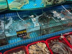 -望海潮海鲜店 特色家常菜(在海一方店)