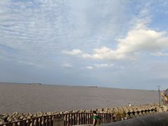 -上海滨江森林公园