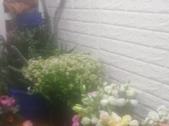-雪蔓之鲜花气球派对(家佳源时代中心店)
