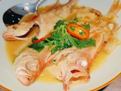 -码头见·潮汕菜(领展中心城店)