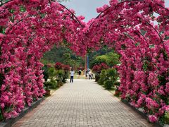 -东莞观音山旅游风景区