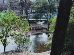 -昆明动物园