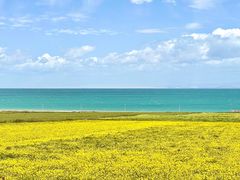 -青海湖国家重点风景名胜区