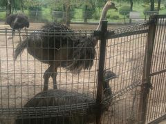 psbMJ83HPAN-祥源·阜阳生态乐园