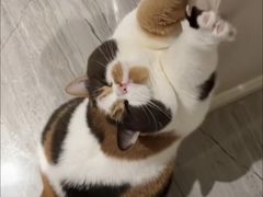 -人民公园-相亲角