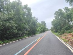 -汕尾风车岛