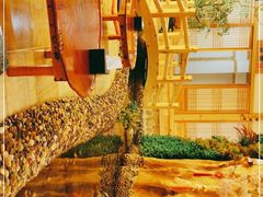 -恒坤北纬42度温泉洗浴(公园路店)