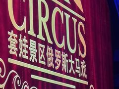 -俄罗斯国家大马戏团