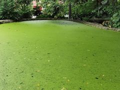 -成都市活水公园
