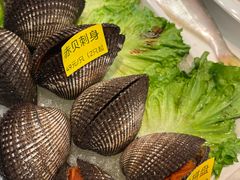 刺身小赤贝-宁海食府(总店·天一阁望京店)