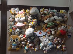 -逗柴咖啡屋·狗咖猫咖宠物桌游