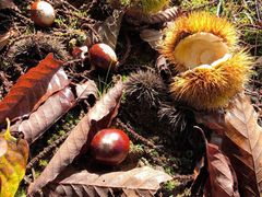 -中国广电东方有线(泉口路营业厅)