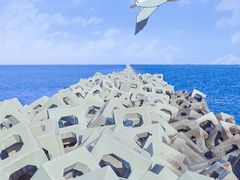 -东疆建设开发纪念公园