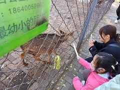 -长白岛森林公园