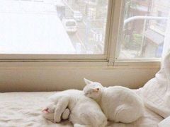 -椰子下蛋(南锣鼓巷店)
