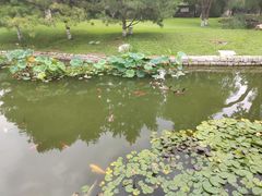 -三里河公园