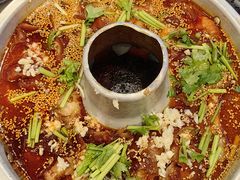 -张卤堂·砂锅卤肘子(南头店)