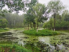 -东郊湿地公园