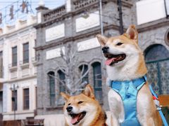 -海合安苏州阳澄半岛乐园