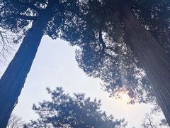 -潭柘寺景区