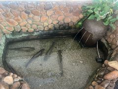 -369美食(清凉峡路店)