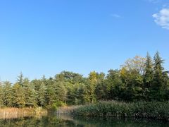 -白鹭湾湿地公园