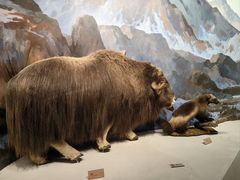 -陕西自然博物馆