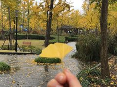 -AdD全日制餐厅(中谷花园酒店)