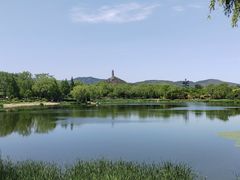 -北坞公园