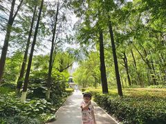 -苏州河梦清园环保主题公园