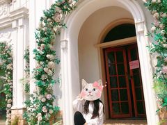-杭州湾海上花田景区
