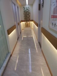 -颜和骨正·明哲式骨相美学整骨