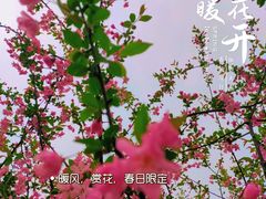 -黄兴公园