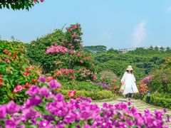 -东莞植物园