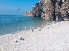-海驴岛(荣成市)