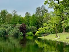 -上海共青森林公园