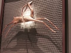 大堂-大树餐厅(益田假日店)