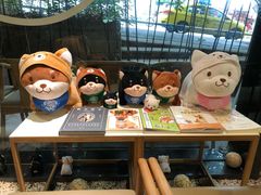 -柴务处·柴犬主题狗咖