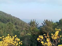 -广州白江湖森林公园