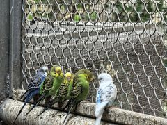 -正佳雨林生态植物园