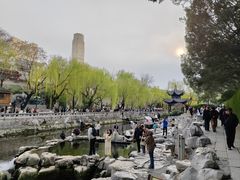 -环城公园
