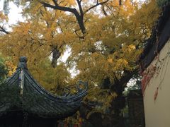 -无锡惠山寺