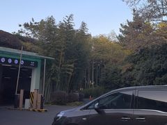 -浙江西子宾馆·牡丹厅