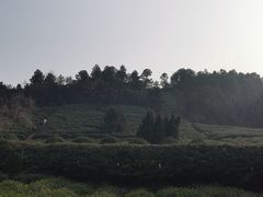 -树山生态村