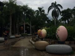 -100蛋泥浆浴